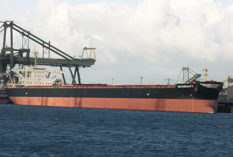 ANDROS BEAUTY Bulk Carrier IMO 9278545 photo 10