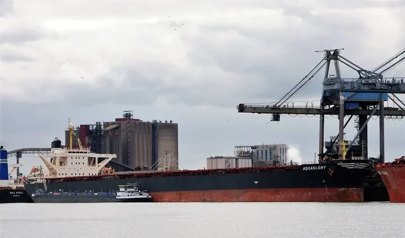 XIN CHUN Bulk Carrier IMO 9278569