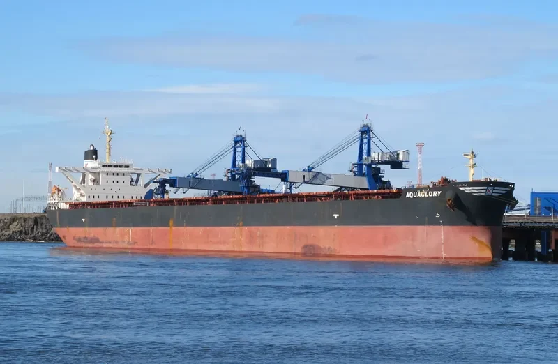 XIN CHUN Bulk Carrier IMO 9278569 photo 2