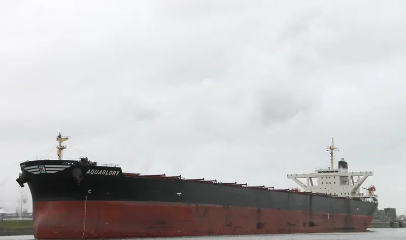 XIN CHUN Bulk Carrier IMO 9278569 photo 3