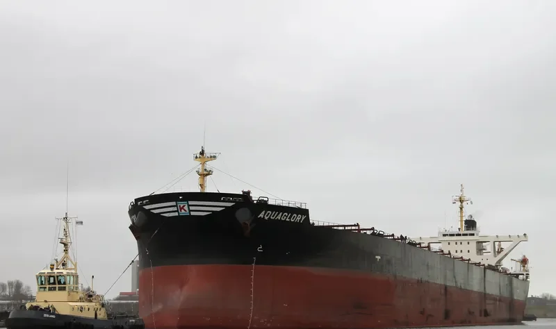 XIN CHUN Bulk Carrier IMO 9278569 photo 4