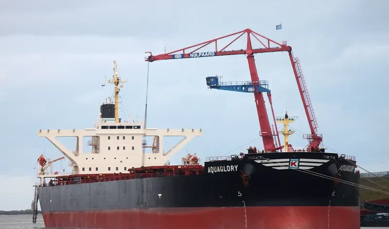 XIN CHUN Bulk Carrier IMO 9278569 photo 5