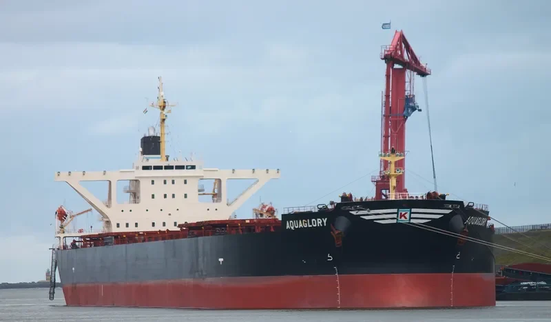 XIN CHUN Bulk Carrier IMO 9278569 photo 6