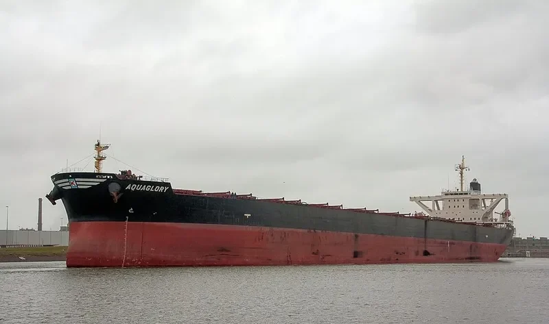 XIN CHUN Bulk Carrier IMO 9278569 photo 8