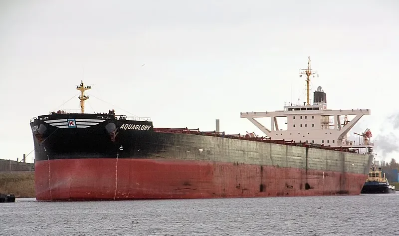 XIN CHUN Bulk Carrier IMO 9278569 photo 9
