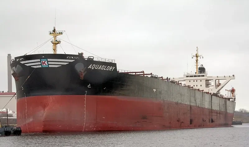 XIN CHUN Bulk Carrier IMO 9278569 photo 10