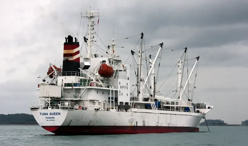 TUNA QUEEN General Cargo IMO 9278612 photo 2