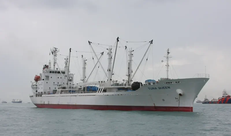 TUNA QUEEN General Cargo IMO 9278612 photo 3
