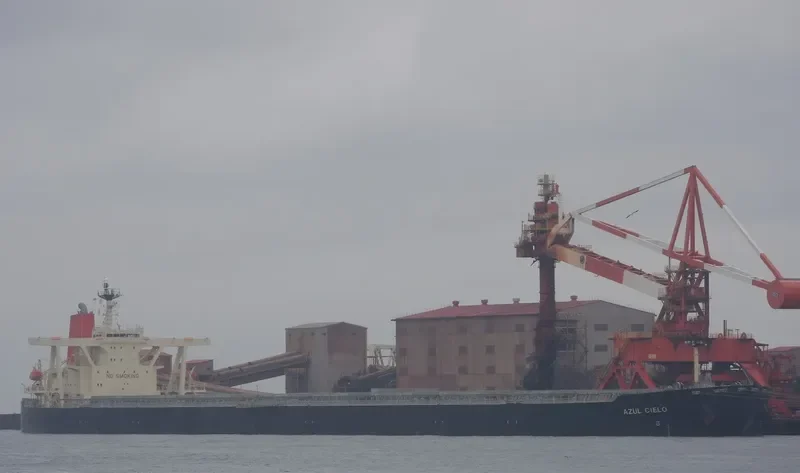 WINNING YOUTH Bulk Carrier IMO 9278636 photo 3
