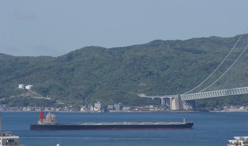 WINNING YOUTH Bulk Carrier IMO 9278636 photo 6