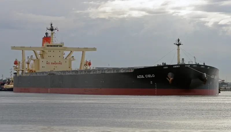 WINNING YOUTH Bulk Carrier IMO 9278636 photo 10