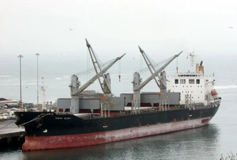 OCEAN GLORY Bulk Carrier IMO 9278648 photo 4