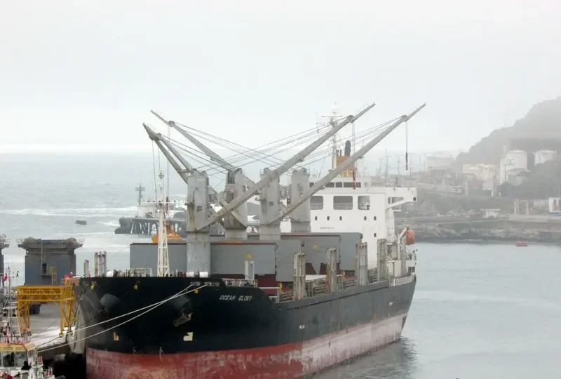 OCEAN GLORY Bulk Carrier IMO 9278648 photo 5