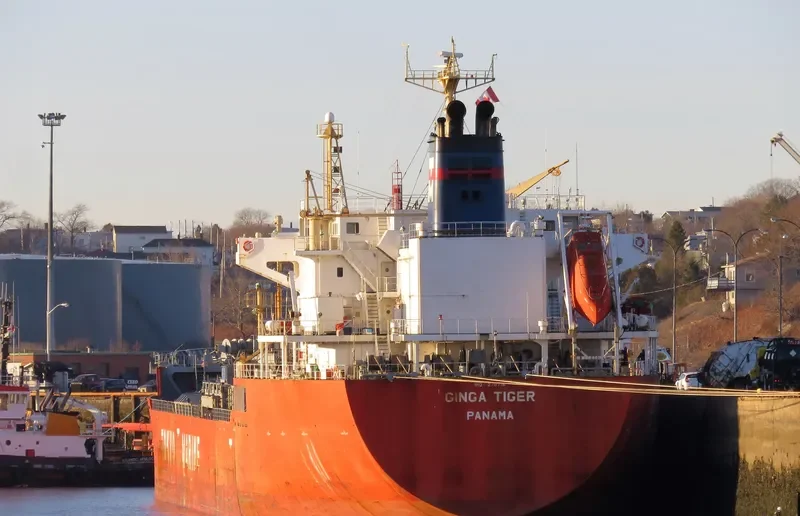 GINGA TIGER Tanker IMO 9278715 photo 4