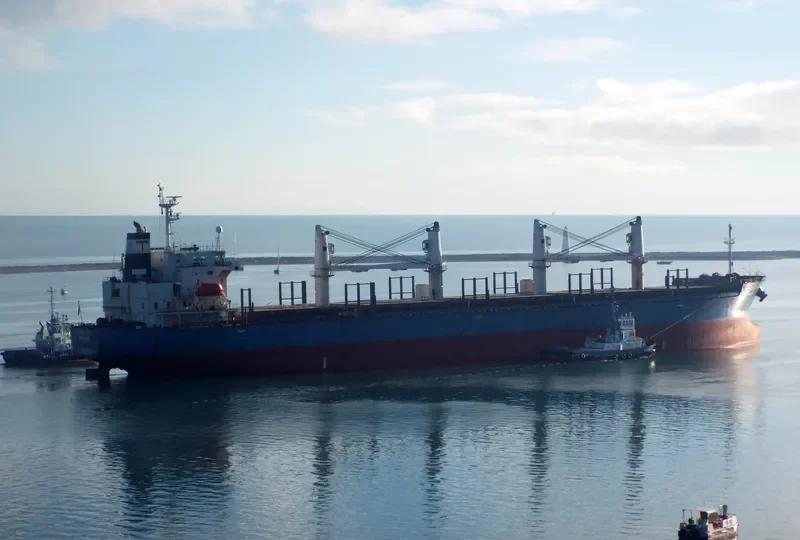 NONG LYLA Bulk Carrier IMO 9278739