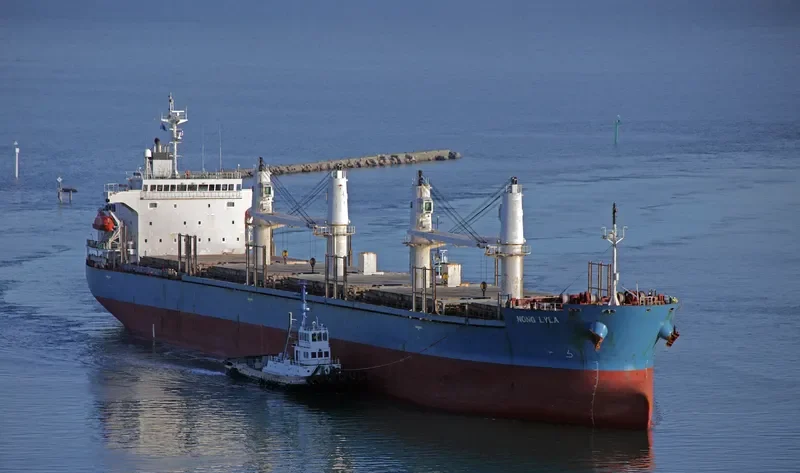 NONG LYLA Bulk Carrier IMO 9278739 photo 3