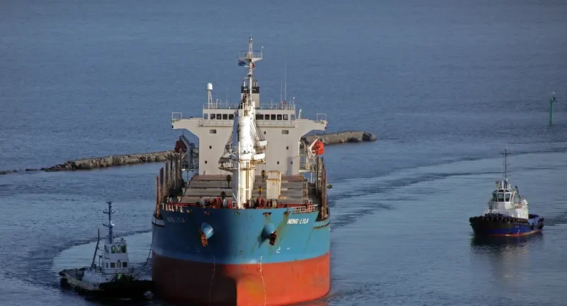 NONG LYLA Bulk Carrier IMO 9278739 photo 4