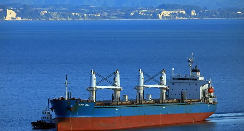 NONG LYLA Bulk Carrier IMO 9278739 photo 5