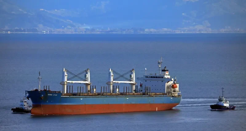 NONG LYLA Bulk Carrier IMO 9278739 photo 6