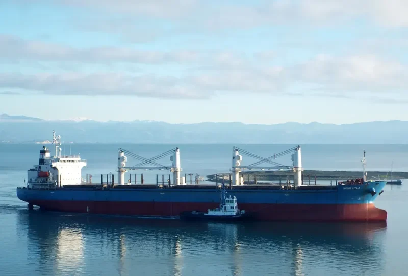 NONG LYLA Bulk Carrier IMO 9278739 photo 7