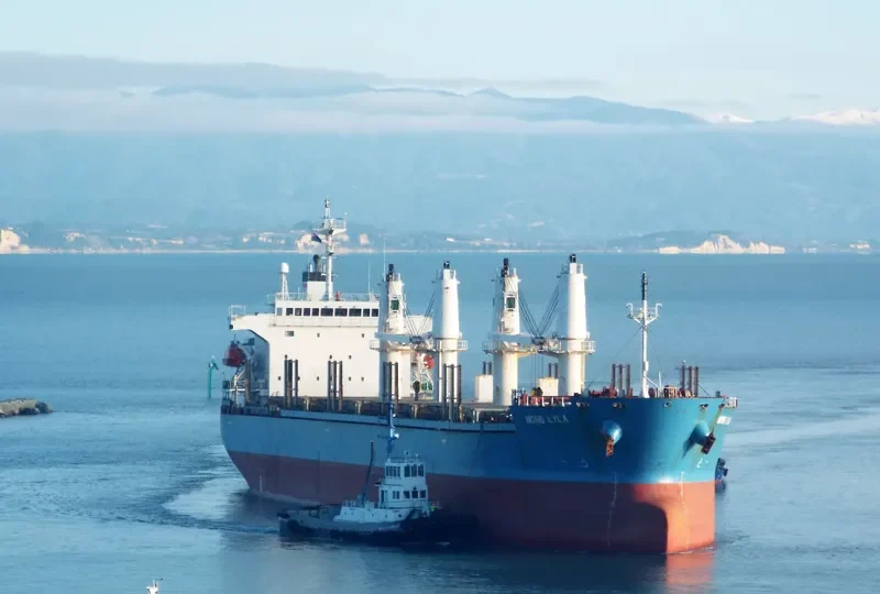 NONG LYLA Bulk Carrier IMO 9278739 photo 8