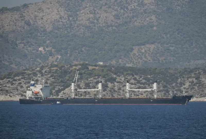 CETUS STAR Bulk Carrier IMO 9278741 photo 4