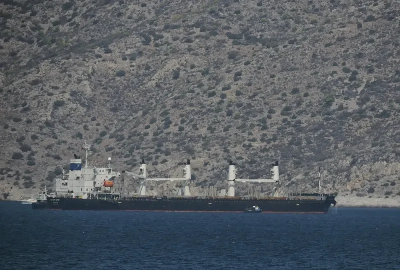 CETUS STAR Bulk Carrier IMO 9278741 photo 5