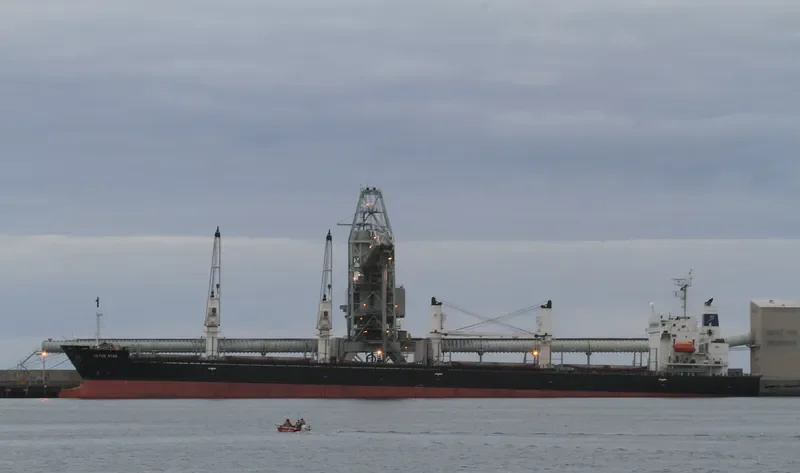 CETUS STAR Bulk Carrier IMO 9278741 photo 7