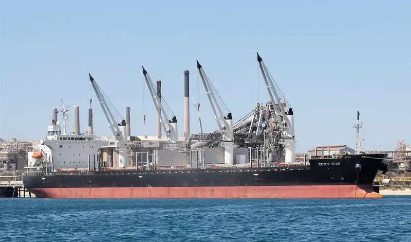 CETUS STAR Bulk Carrier IMO 9278741 photo 10