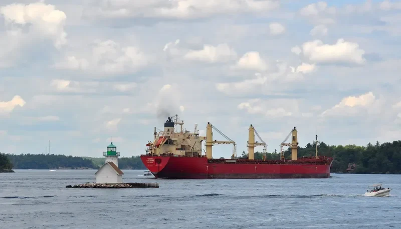 FEDERAL NAKAGAWA Bulk Carrier IMO 9278791 photo 4