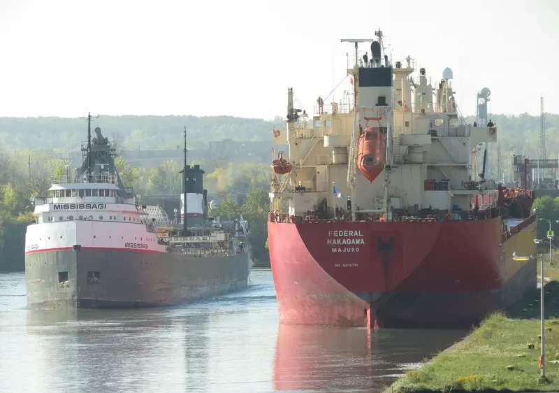 FEDERAL NAKAGAWA Bulk Carrier IMO 9278791 photo 10