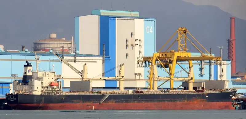 GUTIAN LOYAL Bulk Carrier IMO 9278806 photo 3