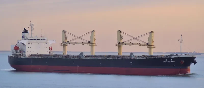 GUTIAN LOYAL Bulk Carrier IMO 9278806 photo 6