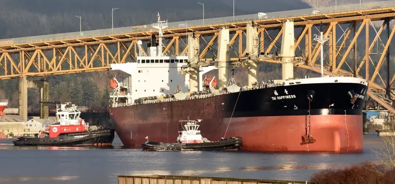 GUTIAN LOYAL Bulk Carrier IMO 9278806 photo 7