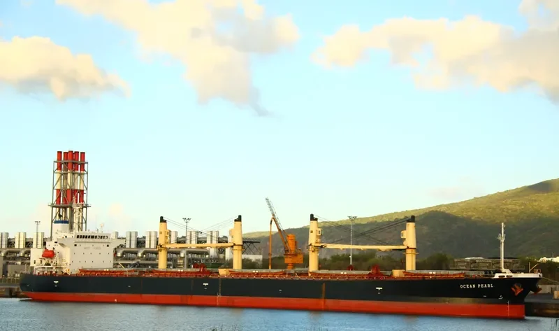 BERDEN Bulk Carrier IMO 9278818 photo 3