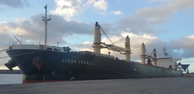 BERDEN Bulk Carrier IMO 9278818 photo 4