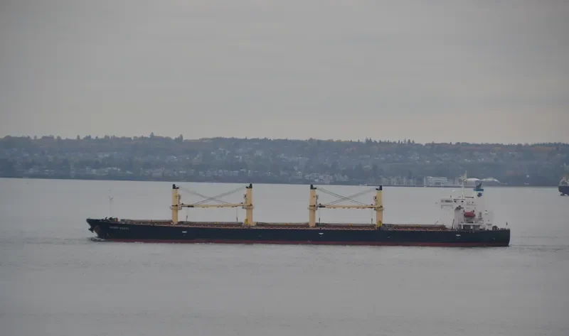 BERDEN Bulk Carrier IMO 9278818 photo 6