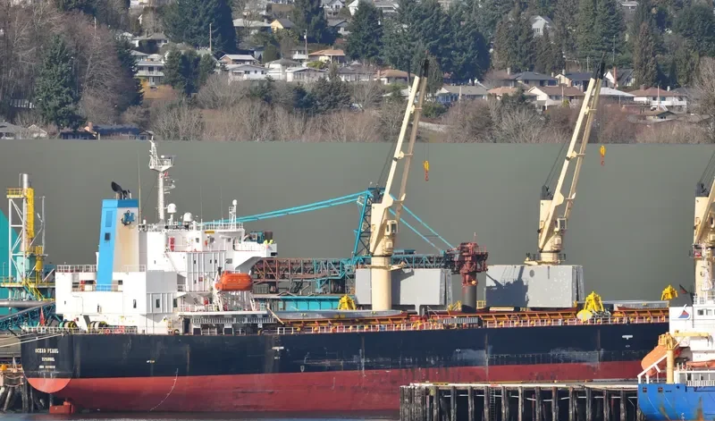 BERDEN Bulk Carrier IMO 9278818 photo 7