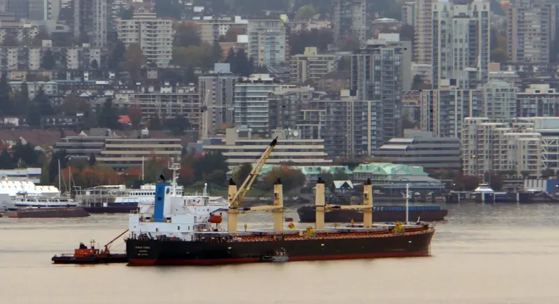 BERDEN Bulk Carrier IMO 9278818 photo 8