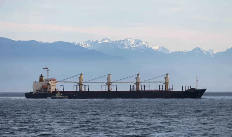 BERDEN Bulk Carrier IMO 9278818 photo 9