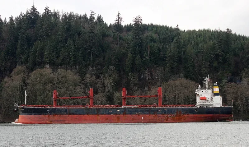 PRABHU MIHIKAA Bulk Carrier IMO 9278820 photo 2
