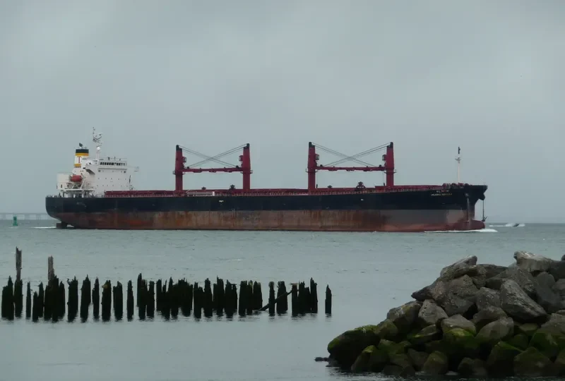 PRABHU MIHIKAA Bulk Carrier IMO 9278820 photo 8