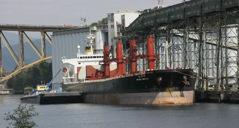 PRABHU MIHIKAA Bulk Carrier IMO 9278820 photo 9