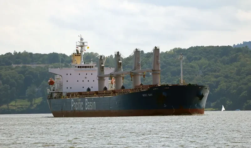 WEST BAY Bulk Carrier IMO 9278868 photo 3
