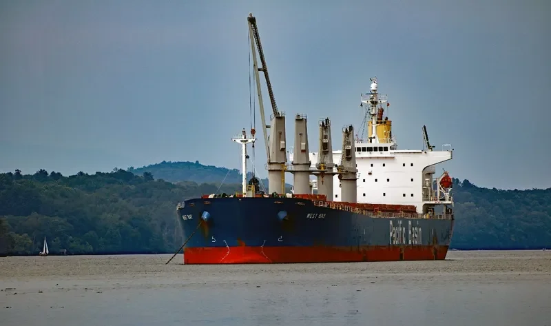 WEST BAY Bulk Carrier IMO 9278868 photo 4