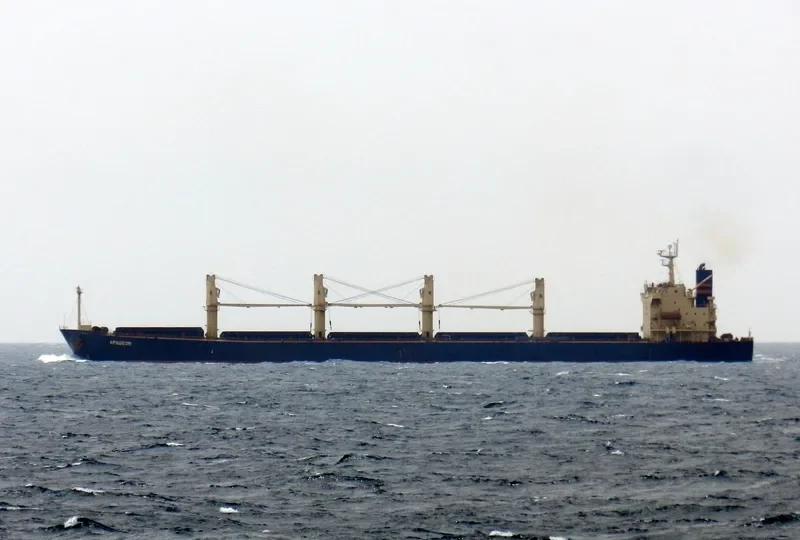 APAGEON Bulk Carrier IMO 9278870 photo 4