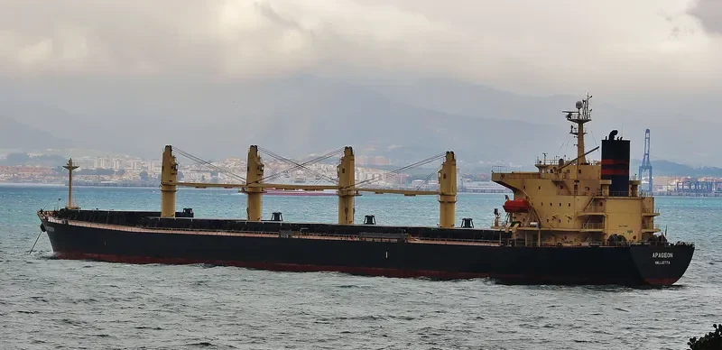 APAGEON Bulk Carrier IMO 9278870 photo 8