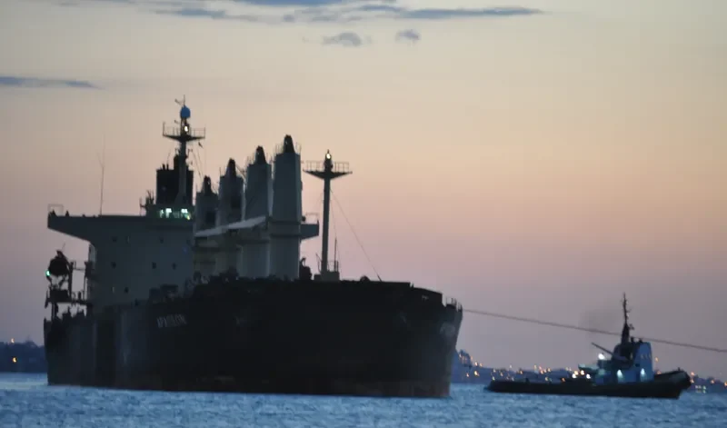 APAGEON Bulk Carrier IMO 9278870 photo 10