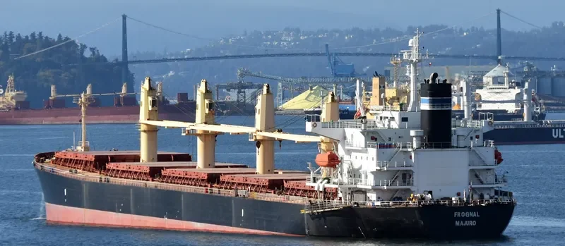 STELLA ISLAND Bulk Carrier IMO 9278882 photo 7