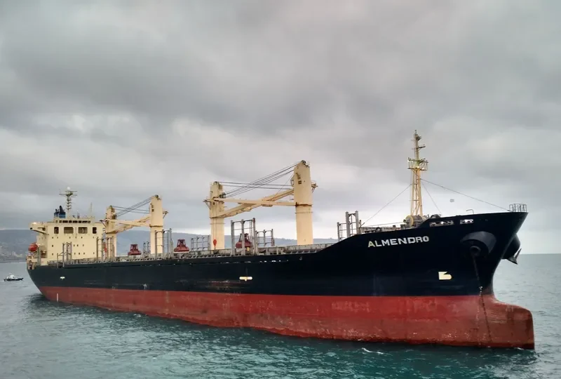 SUPER BAYERN Bulk Carrier IMO 9278911 photo 6